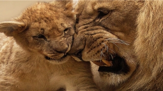 八卦五行算命顺口溜(易经入门口诀)