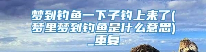 梦到钓鱼一下子钓上来了(梦里梦到钓鱼是什么意思)_重复