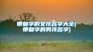 带复字的女孩名字大全(带复字的男孩名字)