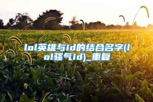 lol英雄与id的结合名字(lol骚气id)_重复