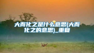 大而化之是什么意思(大而化之的意思)_重复