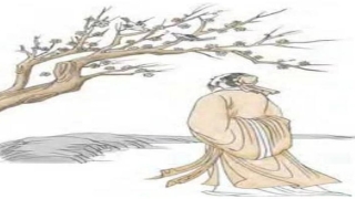 梅花易数震卦(认识易数的方便法门)