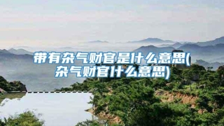带有杂气财官是什么意思(杂气财官什么意思)