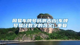 周易车牌号码测吉凶(车牌号易经数字的含义)_重复