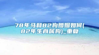 78年马和82狗婚姻如何(82年生肖属狗)_重复