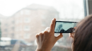 bella泰星(泰星bella的爸爸)