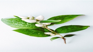 fatew紫微算命(9部曾经可以称神的国产剧)