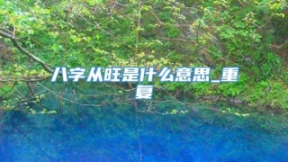八字从旺是什么意思_重复
