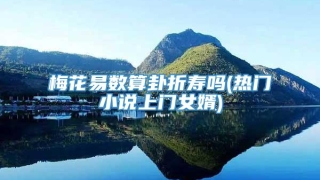 梅花易数算卦折寿吗(热门小说上门女婿)