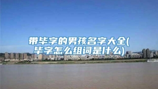 带毕字的男孩名字大全(毕字怎么组词是什么)