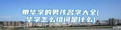 带毕字的男孩名字大全(毕字怎么组词是什么)