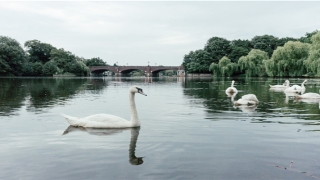 2021牛年女孩名字大全(2021牛年女孩起名 高雅有涵养的女孩名字分享)_重复