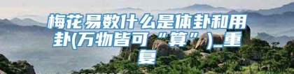 梅花易数什么是体卦和用卦(万物皆可“算”)_重复