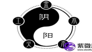 白蜡金和什么命在一起好(男白蜡金女白蜡金的夫妻命运)