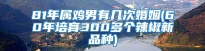 81年属鸡男有几次婚姻(60年培育300多个辣椒新品种)