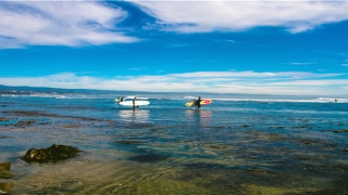 带茹字高洁好名(名字带茹字有什么好的寓意)