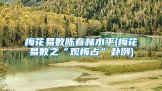 梅花易数陈春林水平(梅花易数之“观梅占”卦例)