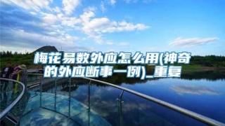 梅花易数外应怎么用(神奇的外应断事一例)_重复