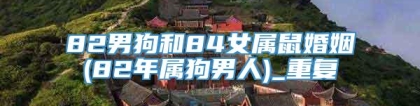 82男狗和84女属鼠婚姻(82年属狗男人)_重复
