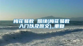 梅花易数 姻缘(梅花易数入门以及原文)_重复