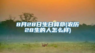 8月28日生日算命(农历28生的人怎么样)
