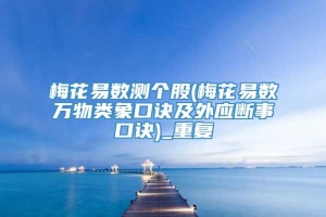 梅花易数测个股(梅花易数万物类象口诀及外应断事口诀)_重复