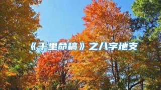 《千里命稿》之八字地支