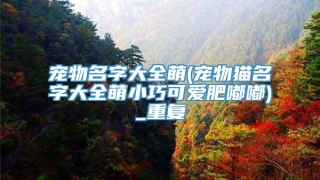 宠物名字大全萌(宠物猫名字大全萌小巧可爱肥嘟嘟)_重复