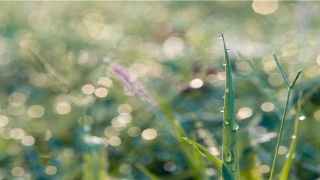 带憬字过目不忘好名字