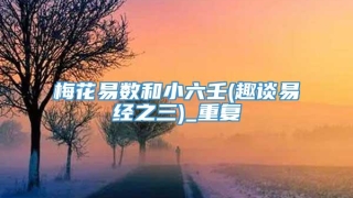 梅花易数和小六壬(趣谈易经之三)_重复