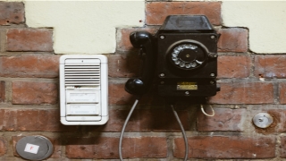 2013的生肖一生运势(癸未日柱2021年运势)_重复