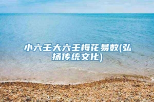 小六壬大六壬梅花易数(弘扬传统文化)