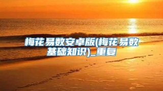 梅花易数安卓版(梅花易数基础知识)_重复