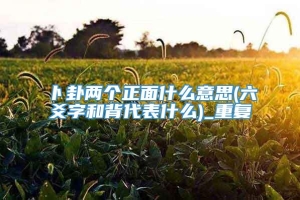 卜卦两个正面什么意思(六爻字和背代表什么)_重复