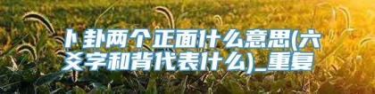 卜卦两个正面什么意思(六爻字和背代表什么)_重复