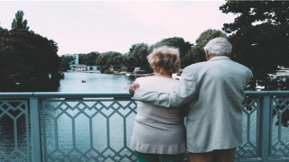 2007年为什么叫金猪(金猪今年运势)_重复