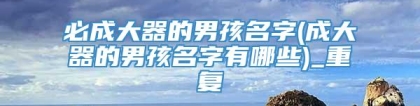 必成大器的男孩名字(成大器的男孩名字有哪些)_重复