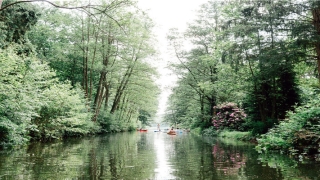 2022兔年运势(生肖狗什么时候转运)_重复