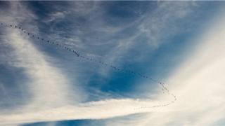 领证当天婚检吗(领证相关内容须知)