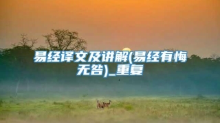 易经译文及讲解(易经有悔无咎)_重复