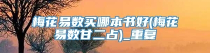 梅花易数买哪本书好(梅花易数甘二占)_重复