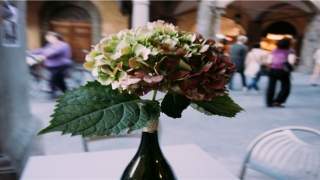 63年属兔的生肖婚配表(1965年最佳婚配生肖)_重复