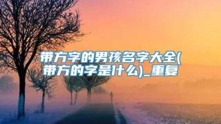 带方字的男孩名字大全(带方的字是什么)_重复