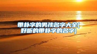 带朴字的男孩名字大全(好听的带朴字的名字)