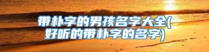 带朴字的男孩名字大全(好听的带朴字的名字)