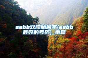 aabb双胞胎名字(aabb最好的号码)_重复