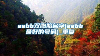 aabb双胞胎名字(aabb最好的号码)_重复