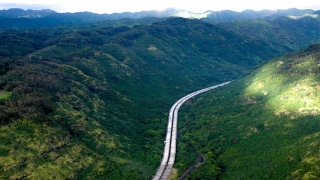 70年属狗女最佳婚配(70后傻傻的情感故事)_重复