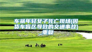 车祸年轻女子死亡现场(因货车盲区导致的交通事故)_重复