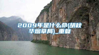 2009年是什么命(胡秋华烟草局)_重复